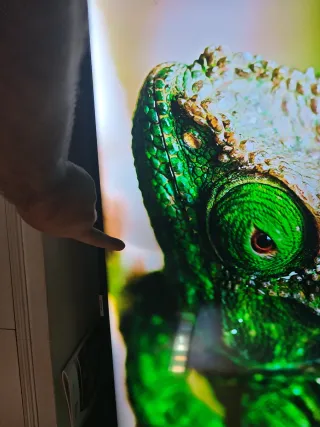 TV Samsung 55 " 4K UHD 7 series.