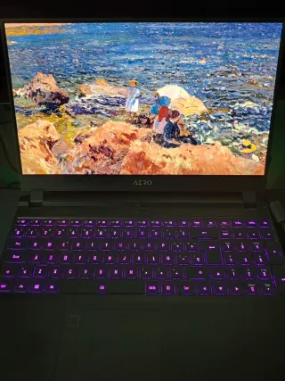 Portátil OLED 4K Gigabyte AERO 15 WA  i7+RTX2060
