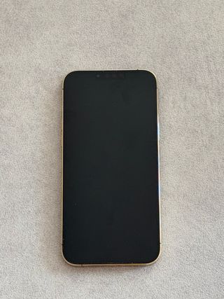iPhone 13 Pro Max Dorado 256GB