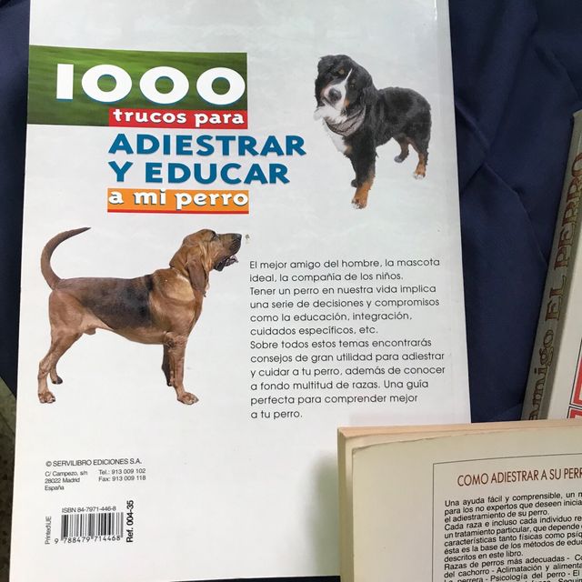 como educar y adiestrar a tus perros