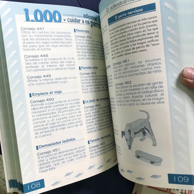 como educar y adiestrar a tus perros