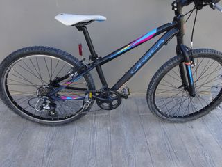 Bicicleta Orbea MX 24 Dirt
