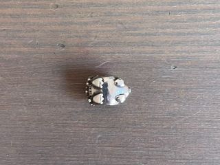 Charm Pandora Erizo Plata