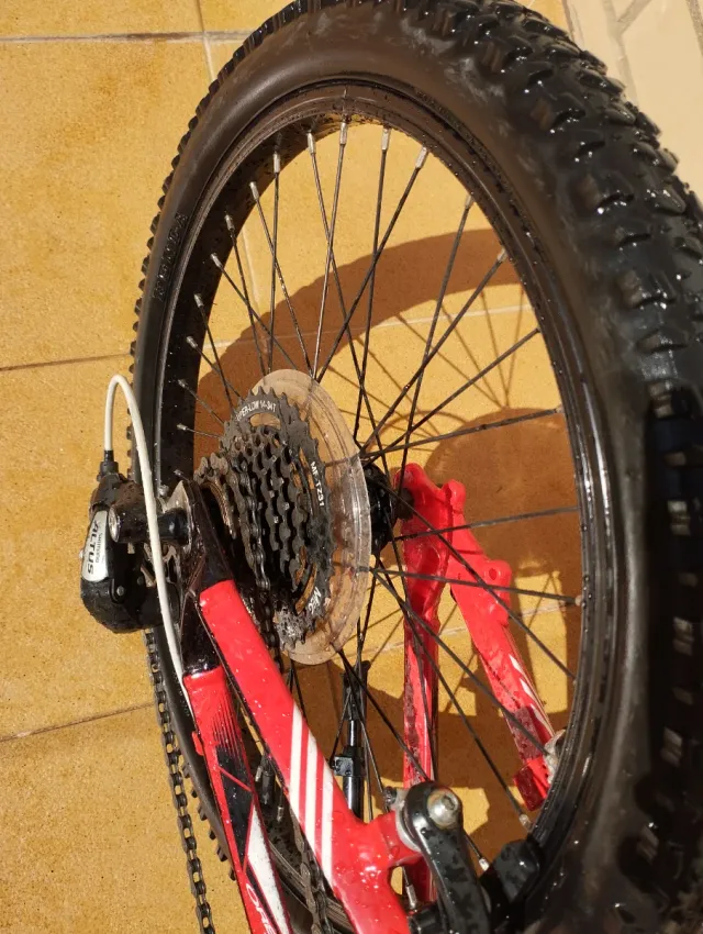 Bici Orbea 20 seminueva