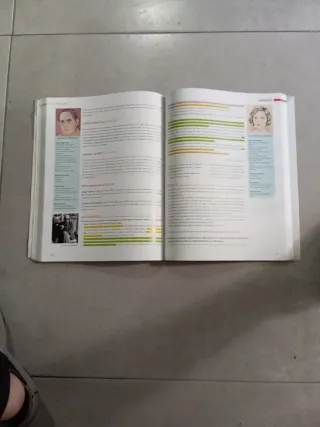Lengua castellana y literatura 