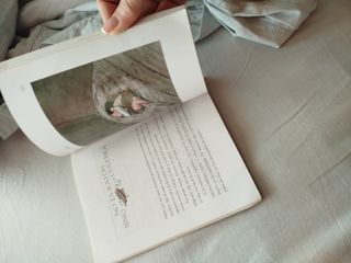 EL LAZARILLO CONTADO A LOS NIÑOS (versión escol...