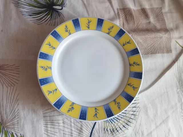 12 platos color (4 hondos + 8 llanos)