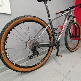 Specialized 29 BTT