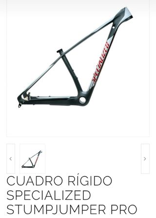 Specialized 29 BTT