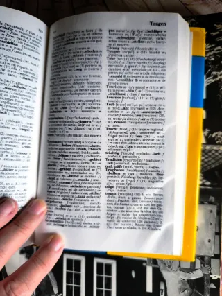 Libros alemán y diccionario 