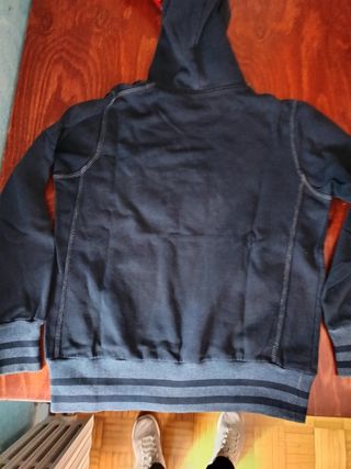 Felpa con cappuccio Frank Hart grigia