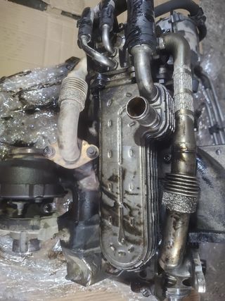 Culata Seat León 1.9 TDI 2007-2008