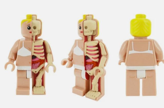 Jason Freeny Micro Schematic Figura Femenina