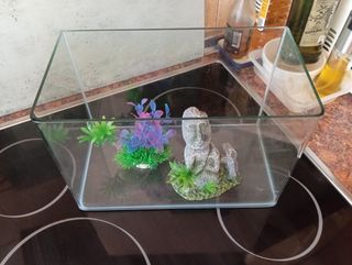 Acuario pecera