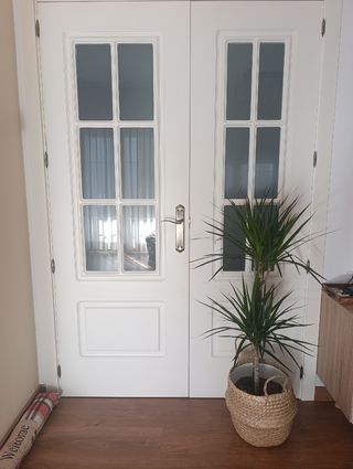 Puerta doble de salón con cristal