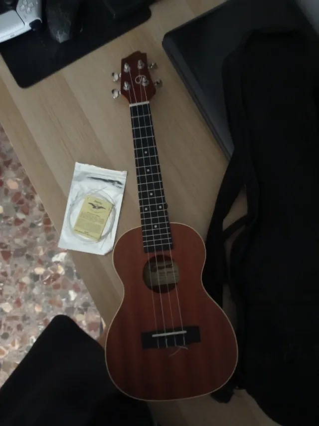 Ukulele soprano Egmond con cover e corde