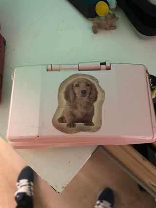 Nintendo DS Rosa con Adornos