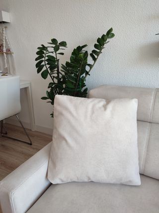 cuscini decorativi per divani con cerniera 