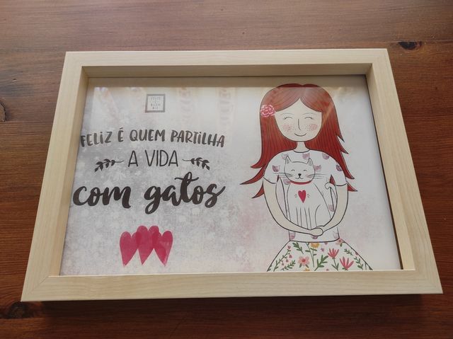 Lámina ilustrada