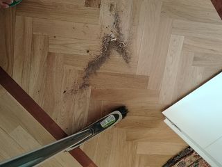 Servicio de limpieza