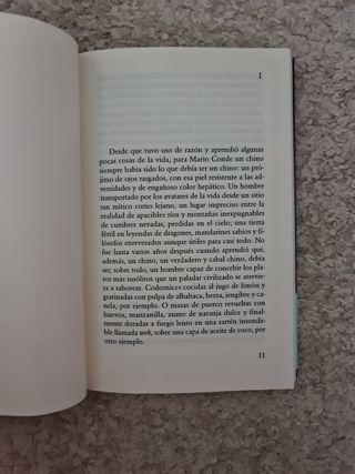La cola de la serpiente (Spanish Edition)
