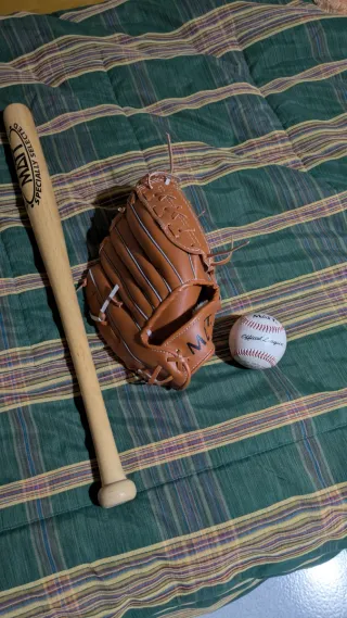 Bate, guantes y pelota de béisbol