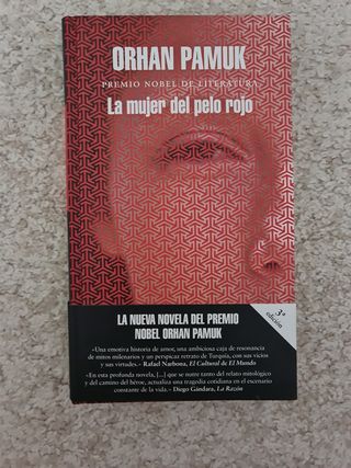 La mujer del pelo rojo / The Red - Haired Woman