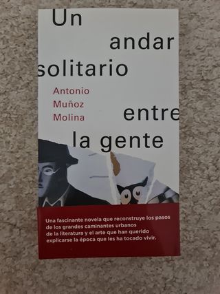 Un andar solitario entre la gente 