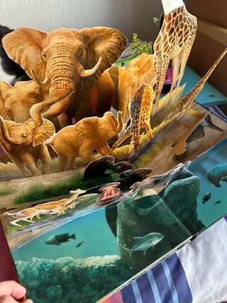 Libro interactivo animales