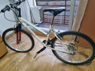 Bicicleta Boomerang Blanca