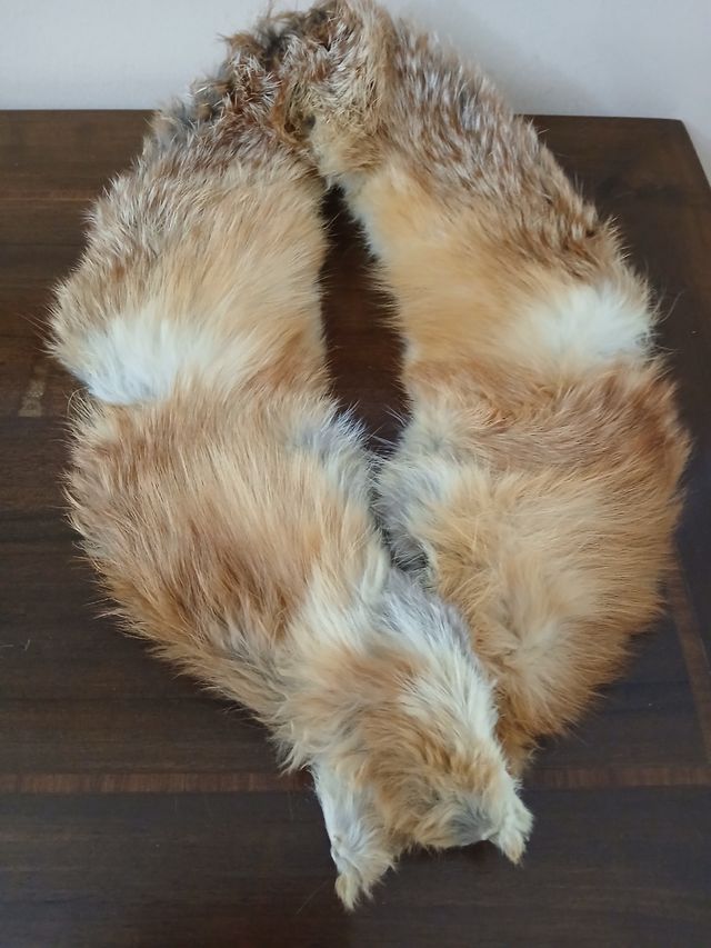 Antico collo di pelliccia