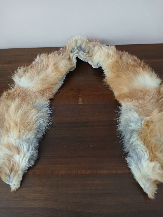 Antico collo di pelliccia