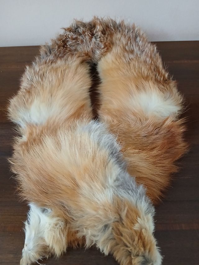 Antico collo di pelliccia