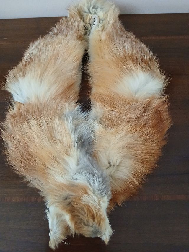 Antico collo di pelliccia