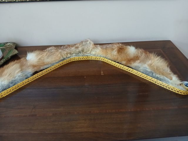 Antico collo di pelliccia