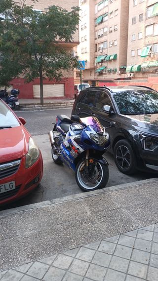 Escape trasero Peugeot Remmus