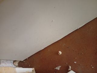 Puerta madera maciza con 4 cristales
