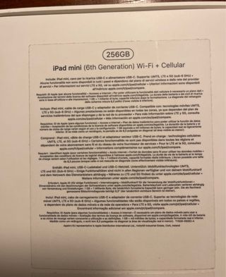 iPad mini 6 256 GB wifi cellulare 