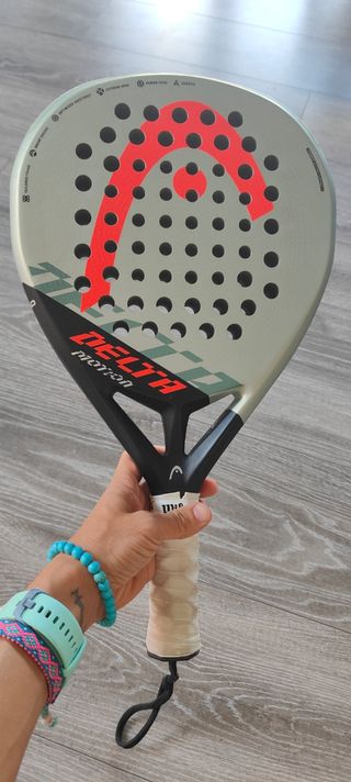 Pala Head Delta Motion