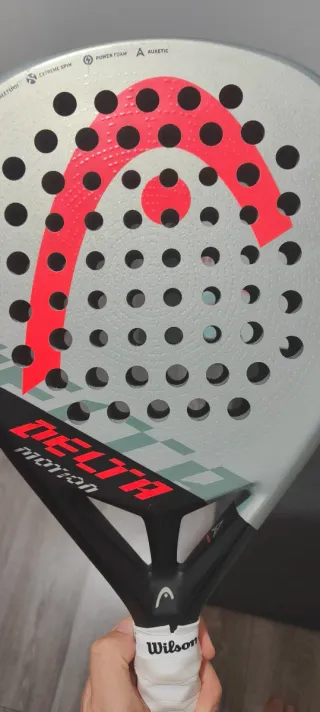 Pala Head Delta Motion