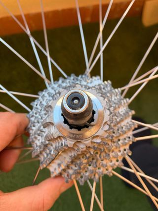 Rueda para rodillo bici. SHIMANO, ELITE, GURPIL