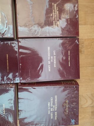 Fuentes y estudios d Historia leonesa + Testamento