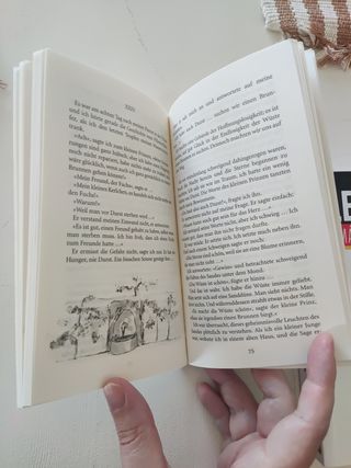 Der Kleine Prinz (German Edition)