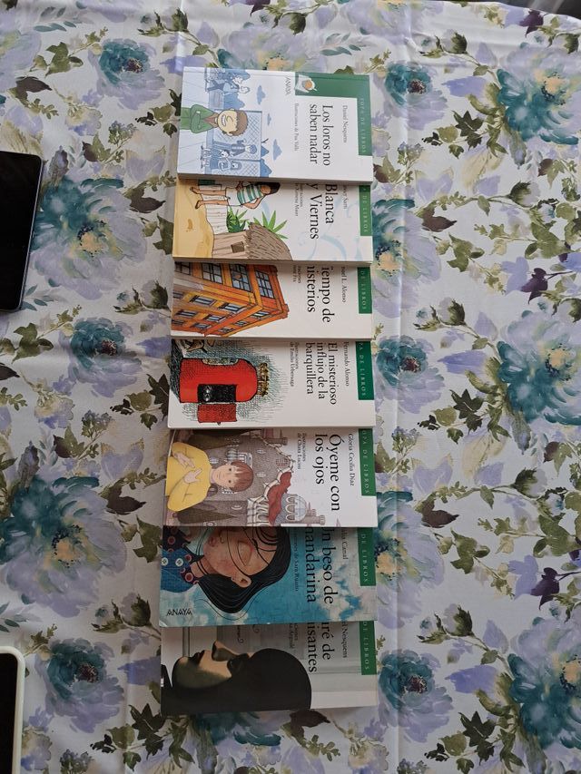 El misterioso influjo de la barquillera (Cuento...