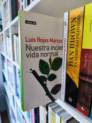 Nuestra Incierta Vida Normal