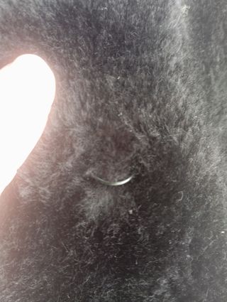 Abrigo Negro Pelo Mujer
