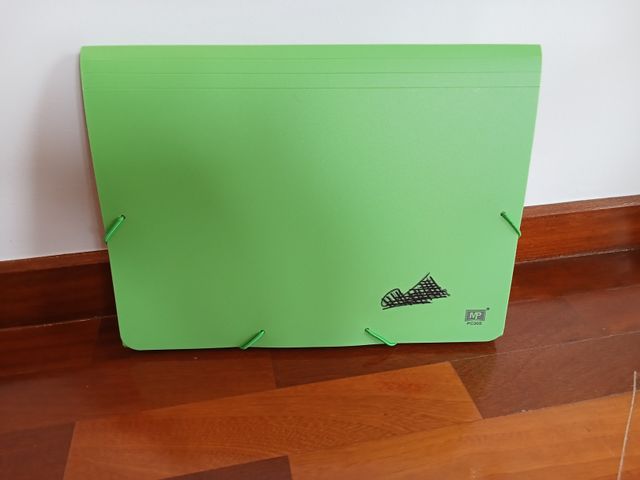 Carpeta clasificadora verde