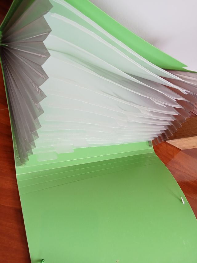 Carpeta clasificadora verde