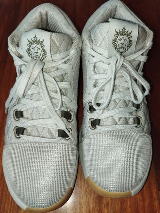 Zapatillas LeBron James NIKE 