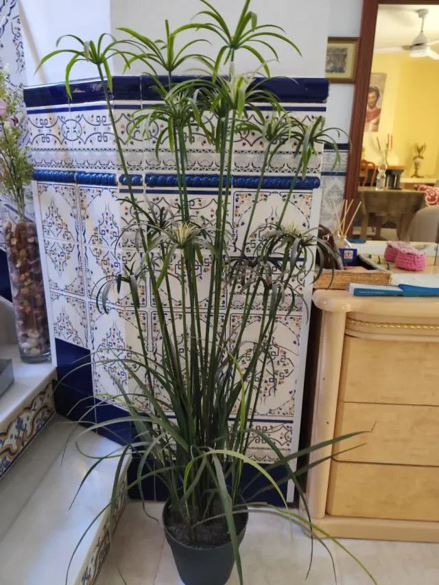 Planta artificial paraguas.